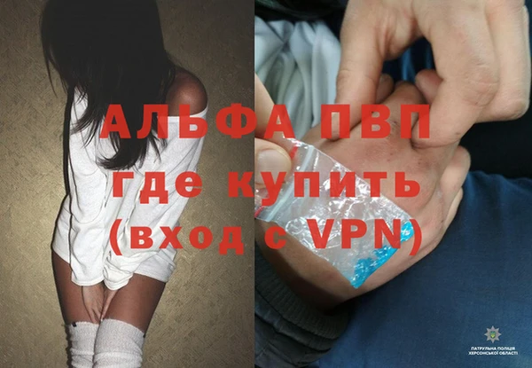 прущие грибы Болохово