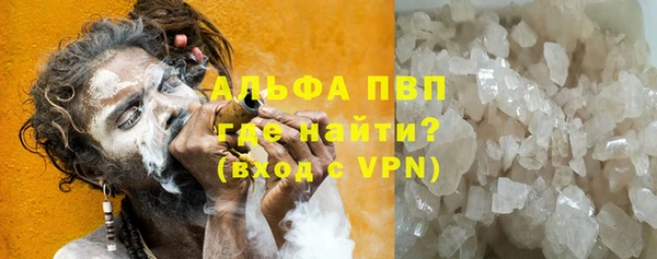 PSILOCYBIN Покачи