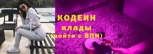 PSILOCYBIN Покачи